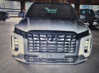 2024 Palisade VIP